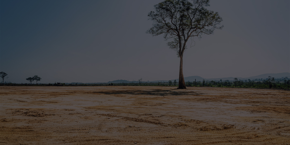 group of journalists eating lunch